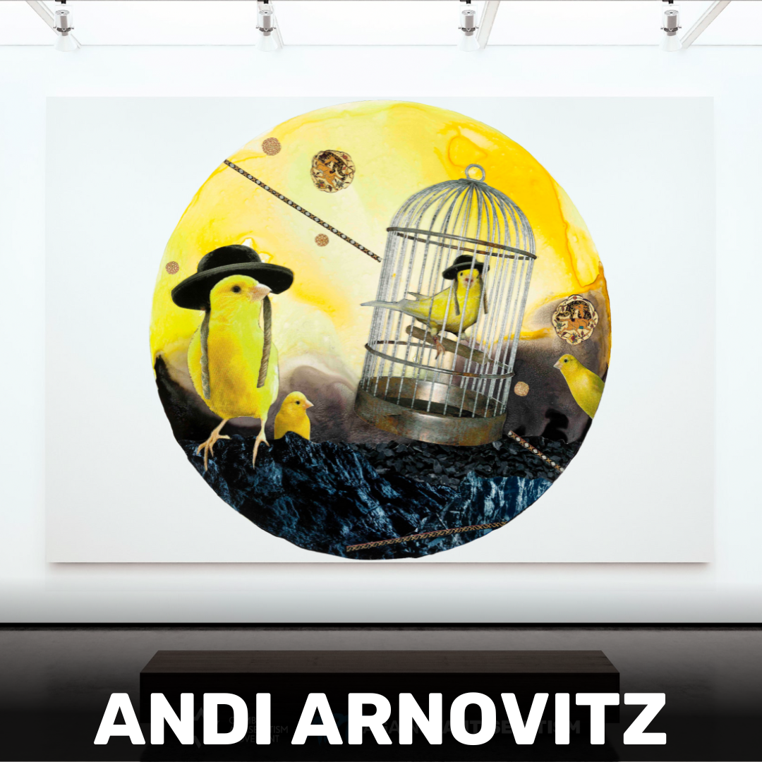 Andi Arnovitz